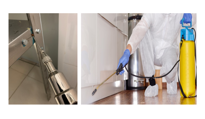 Методы влажной и гелевой дезинсекции