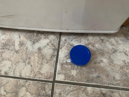 Диск для инсектицидного геля с двухсторонним скотчем «Террицид -диск ДС» (Россия)