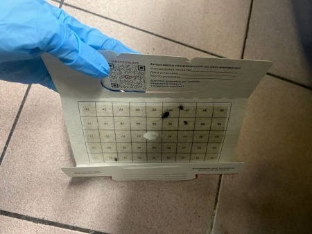 PCG® 100 клеевой монитор-ловушка для тараканов с онлайн-редактором таблиц