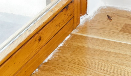 Порошок для профилактической дезинсекции "Террицепт - Кристалл" 1000г