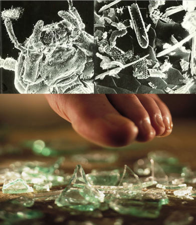 Порошок для профилактической дезинсекции "Террицепт - Кристалл" 1000г