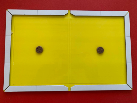 PCG® 130 Клеевая площадка от мышей и крыс